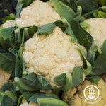 All Year Round Cauliflower Seeds