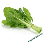 Swiss Chard Seeds - Japanese Umaina