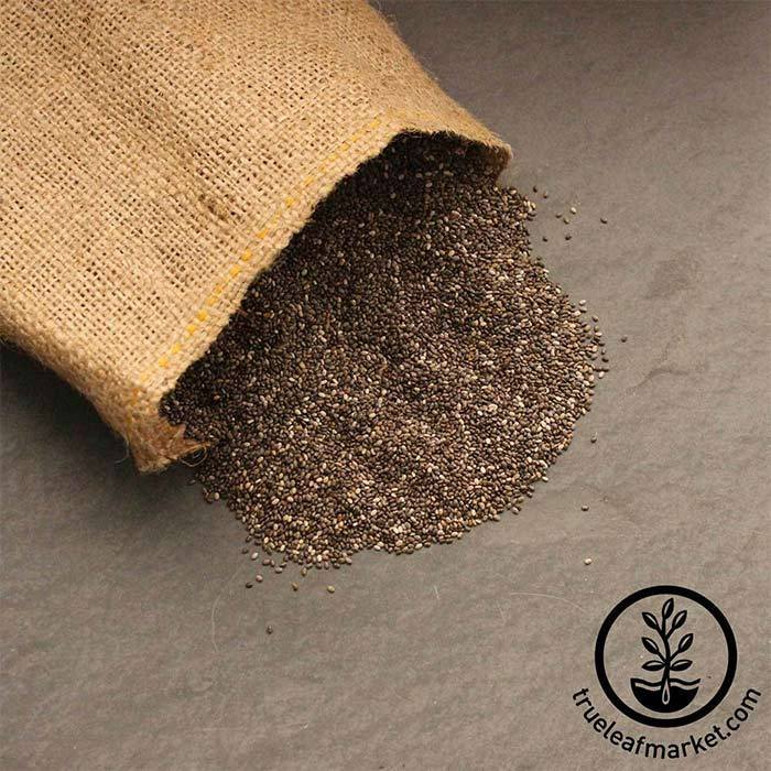 Buy Wholesale Canada High Quality Natural Black Bulk Organic Chia Seeds &  Chia Seeds Organic Bulk Quality