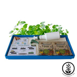 Hydroponic Chia Growing Kit