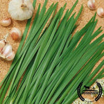 Chives - Garlic (Organic) Herb Seed