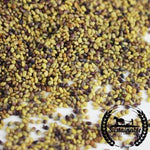 Clover - Red (Organic) - Microgreens Seeds Close Up
