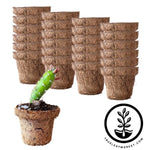 Coco Fiber Plant Pots - Small Round Tapered - 2.5 Inch 24 Pack