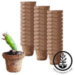 Coco Fiber Plant Pots - Small Round Tapered - 2.5 Inch 36 Pack