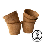 Coco Fiber Plant Pots - Large Round - 10 Inch 6 Pack
