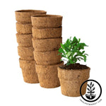 Coco Fiber Plant Pots - Small Round Blunt - 4 Inch 10 pack