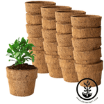 Coco Fiber Plant Pots - Small Round Blunt - 4 Inch 20 Pack