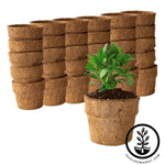 Coco Fiber Plant Pots - Small Round Blunt - 4 Inch 30 Pack