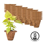 Coco Fiber Plant Pots - Square 4 Inch 36 Pack