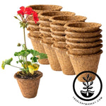 Coco Fiber Plant Pots - Small Round Tapered - 4 Inch 24 Pack