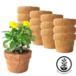 Coco Fiber Plant Pots - Small Round Blunt - 5.5 Inch 12 Pack