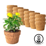 Coco Fiber Plant Pots - Small Round Blunt - 5.5 Inch 18 Pack