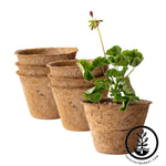 Coco Fiber Plant Pots - Large Round - 6.5 Inch 6 Pack