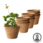 Coco Fiber Plant Pots - Large Round - 6.5 Inch 9 Pack