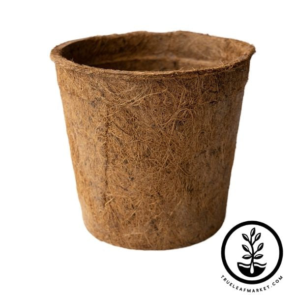 Palm Naki 6.5 Coconut Coir Round Plant Pots Set of 4 - Coco Coir Plant Pots, Pots for Plants, Flower Pots, Small Plant Pots, Planter Pots for