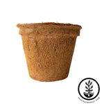 Coco Fiber Plant Pots - Large Round - 9 Inch 1 Pack