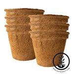Coco Fiber Plant Pots - Large Round - 9 Inch 6 Pack