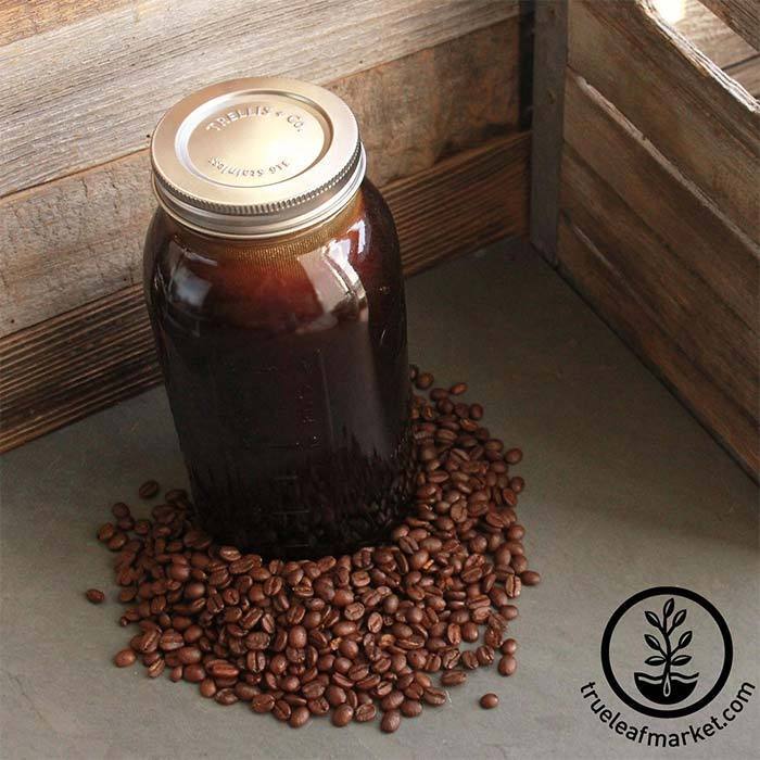 Coffee Coffee Coffee Coffeee (Bold) Mason Jar Tumbler - Mason Jar Merchant