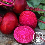 Crosby Egyptian Beet Seeds