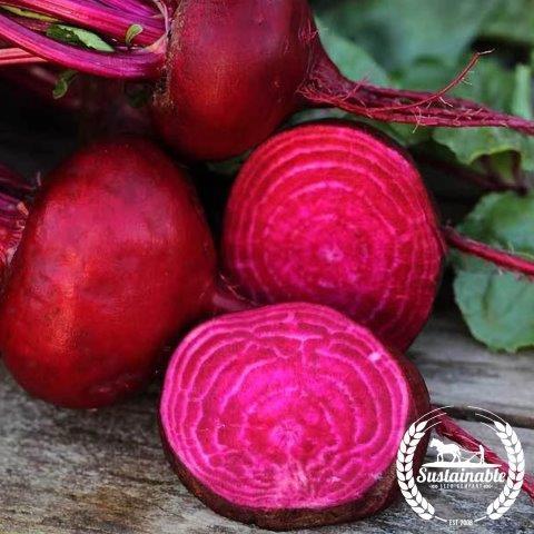 Organic Crosby Egyptian Beet Seeds