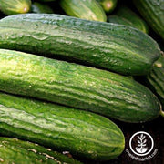 Need help finding the best cucumber seeds for your needs? Take this short quiz and we will help you choose the best cucumber seeds. Be sure to hover over the <tool tip image> for important notes on each option.