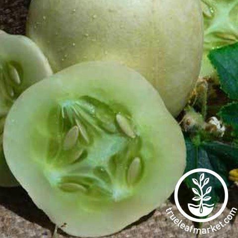 Crystal Apple Cucumber Seeds