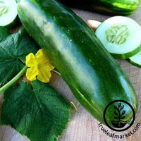 Long Green Imp. Slicing Cucumber Seeds