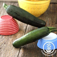 Dark Green Zucchini Squash Seeds