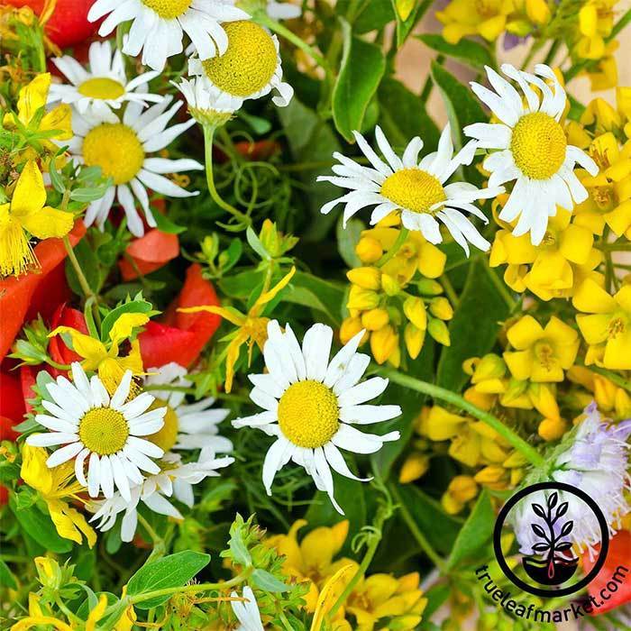 Mixed Wildflower Garland