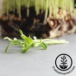 Pea Dun Microgreens Seeds Soil Grown