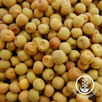 Non-GMO Organic Dun Pea
