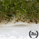 Hydroponic Grow Mats Ecotone Microgreens Closeup