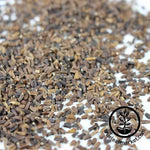 Chrysanthemum - Broad Leaf, Edible - Microgreens Seeds