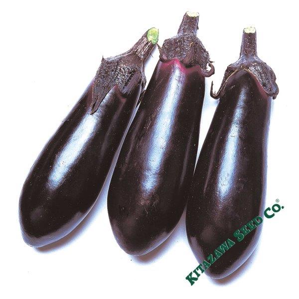 https://cdn.shopify.com/s/files/1/2016/2681/products/eggplant-moneymaker-com-wm.jpg?v=1646707833