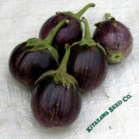 Turkish Eggplant heirloom/op Seeds: Scarlet Eggplant Seeds 