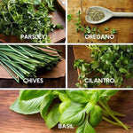 Parlsey Oregano Chives Cilantro Basil