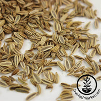 Fennel - Florence - Microgreens Seeds Close Up