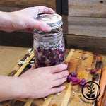 Stainless Steel Fermenting Kits with Pickle helix lid