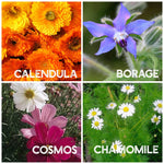 flower collection calendula borage cosmos chamomile