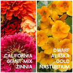 california giant and dwarf alaska gold nasturtium