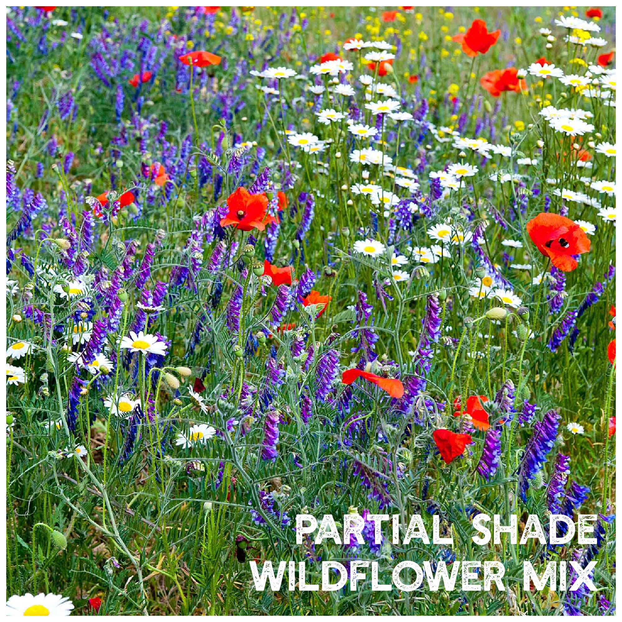 Shade Flower Garden Seed Mat – Miles Kimball