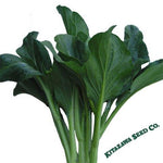 Yu Choy Sum Seeds - Late Green