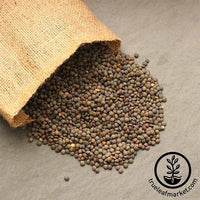 Organic French Lentils - Blue/Green Color