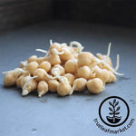 Non-Gmo Organic Garbanzo Beans - Sprouting