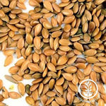 Golden Flax Seeds - Close