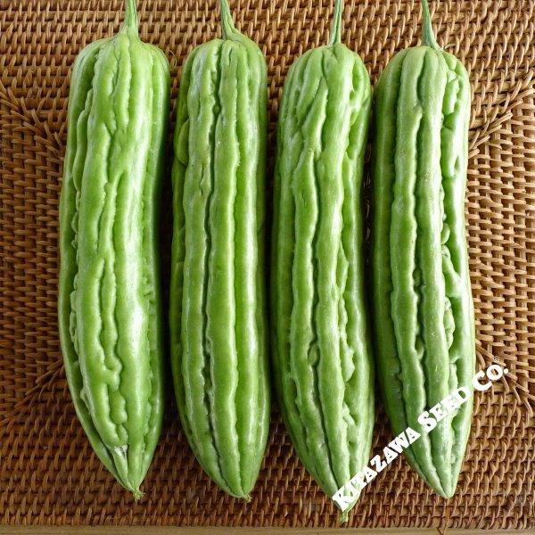 Gourd Seeds - Green Skin