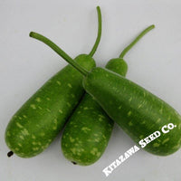 Gourd Seeds - Nam Tao Yai - Hybrid