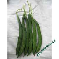 Gourd Seeds - Buab Liam - Hybrid