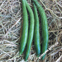 Gourd Seeds - Buag Ngu