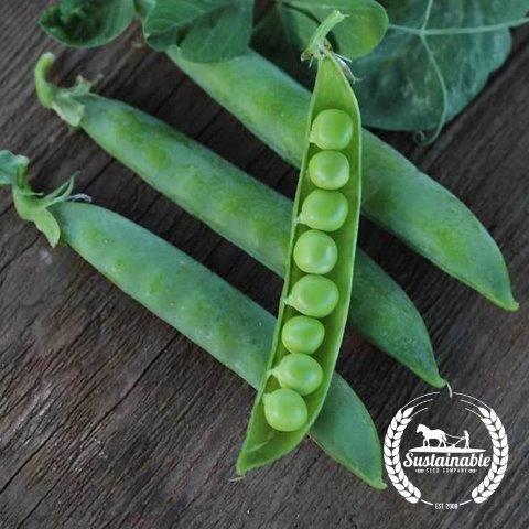 ORGANIC Green Peas